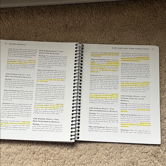 Equine Massage Guide Book - Picture 3 of 4